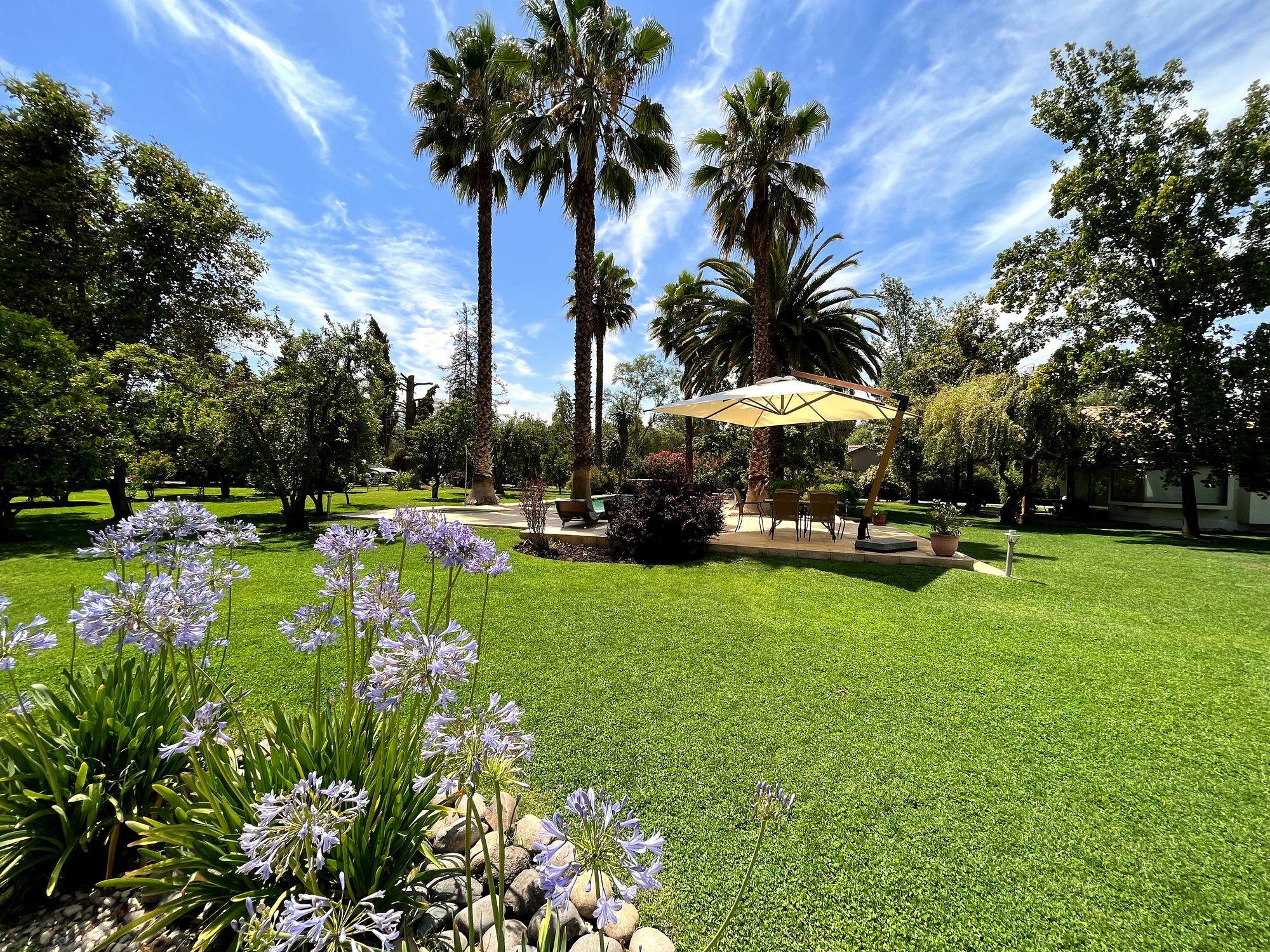 Terraza de la piscina y pasto